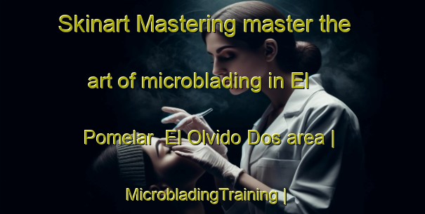 Skinart Mastering master the art of microblading in El Pomelar  El Olvido Dos area | MicrobladingTraining | MicrobladingClasses | SkinartTraining-Mexico